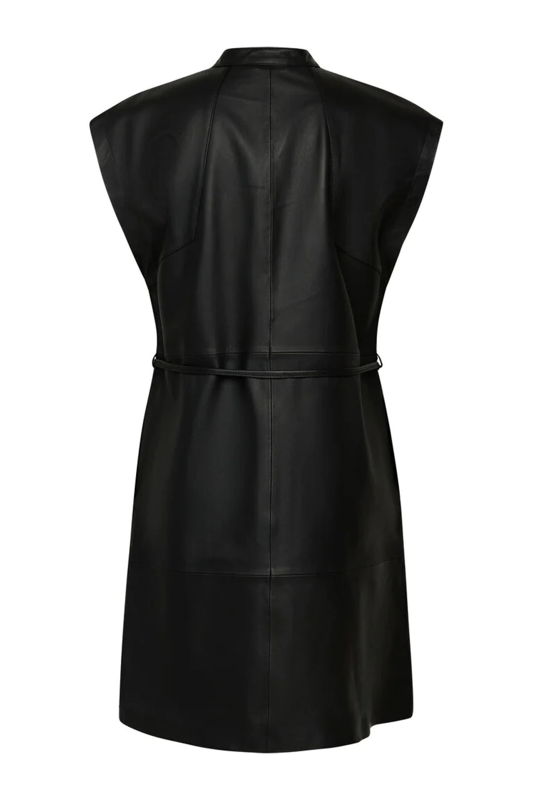 Bruuns Bazaar Women EyteliaBBKanza leather dress Dress Black