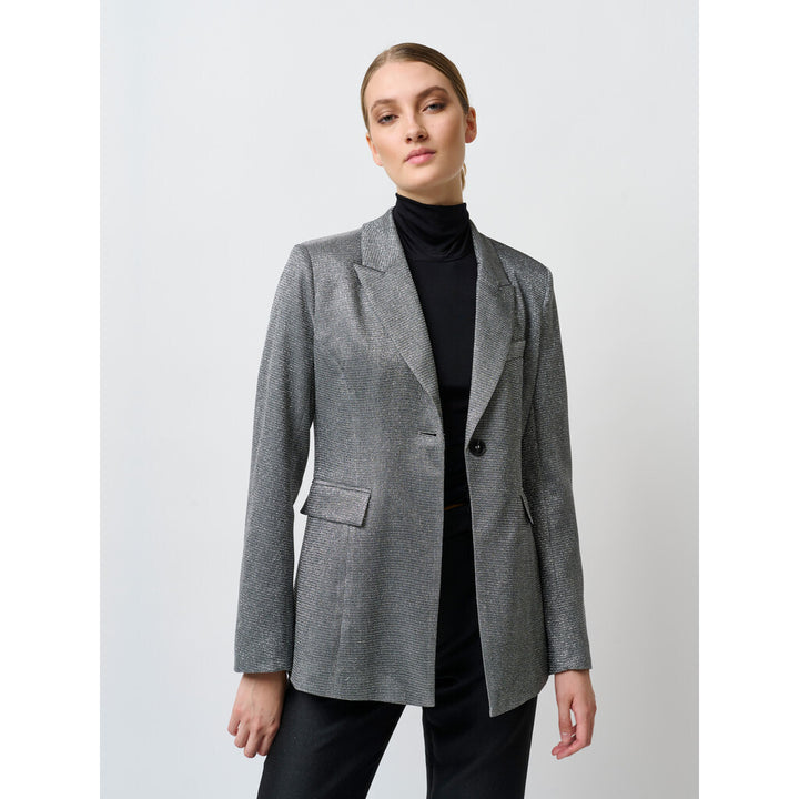 Bruuns Bazaar Women SnapdragonBBLucy blazer Blazer Silver