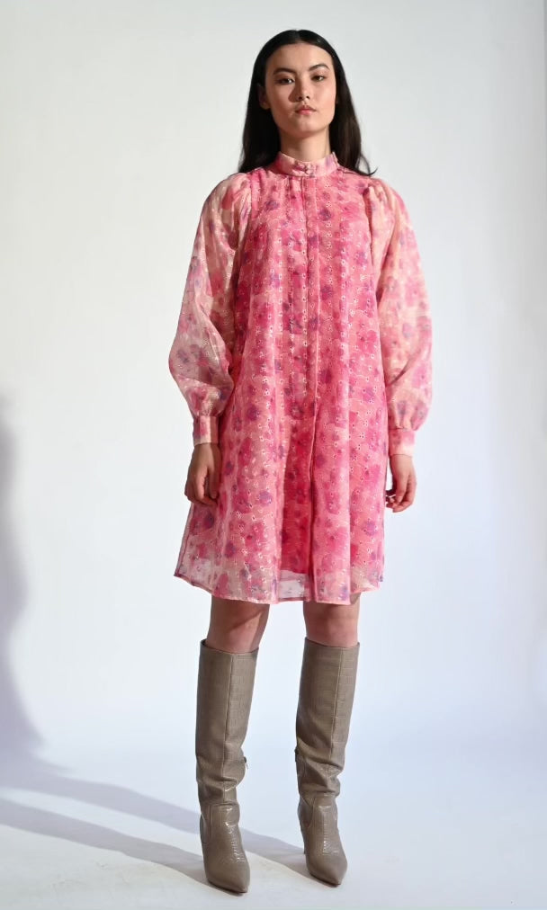 HyssopBBPhilina jurk - Roze print